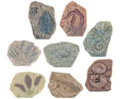Paleontologinis kasinėjimų rinkinys vaikams