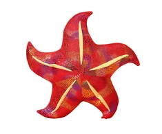 Pliušinė pagalvėlė Jūros žvaigždė, raudona, 20 cm