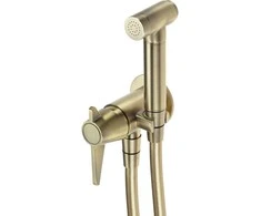 Potinkinis bidė dušelio komplektas Deante Temisto BQT_M34M, Brass