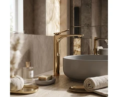 Praustuvo maišytuvas PREMIUM REA Vision High, Gold