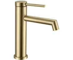 Praustuvo maišytuvas Rea Foss Low, Brushed Gold