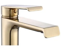 Praustuvo maišytuvas REA Hass High, Brushed Gold
