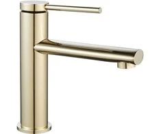 Praustuvo maišytuvas REA Oval Low, Gold
