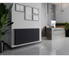 Radiatorius Mexen CH20 Hygiene 600 x 2200 mm, šoninio pajungimo, 2418 W, antracito