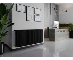 Radiatorius Mexen CH30 Hygiene, 300 x 600 mm, pajungimas iš šono, 523 W, juodas