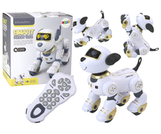 Robotas - šuo su nuotolinio valdymo pultu, auksinis