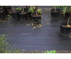 Sodo agroplėvelė, 90 g/m2, 1x50 m, juoda