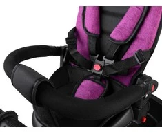 Triratukas su stogeliu Tiny Bike 3in1, rožinis