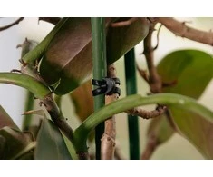 Tvirtinimo dirželis augalams Bradas ANCHOR RUBBER TIE EPDM, 60/4mm