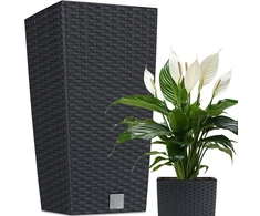 Vazonas RATO SQUARE su įdėklu, 61 cm, anthracite