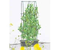 Vazonas su atrama agurkams CUCU GROW BOX, 60x30x178 cm