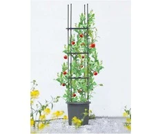 Vazonas su atrama pomidorams TOMATO TUBE, 8x28x148 cm