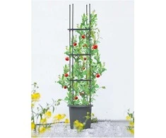 Vazonas su atrama pomidorams TOMATO TUBE, 8x28x148 cm