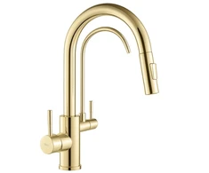 Virtuvinis maišytuvas Rea Eco Fresh, Gold
