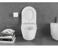WC Komplektas Mexen 4in1 Fenix Slim su klozetu Lena Rimless Slim Duroplast