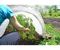 Žieminė augalų danga, 30 g/m², 1.1 x 5 m, balta