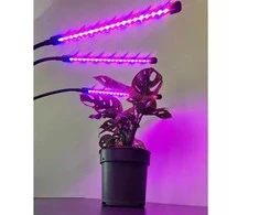 LED lempa augalų augimui 3x20