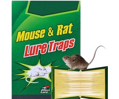 Mouse&amp;Rat lipni gaudyklė graužikams, spąstai pelėms, 5 vnt.
