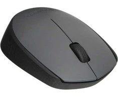 Belaidė pelė Logitech M170