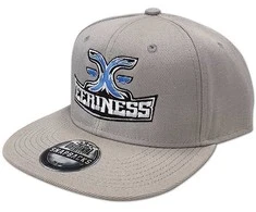 Kepurė EERINESS EERINESS snapback, pilkas, išsiuvinėtas logotipas