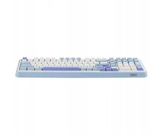 Belaidė mechaninė žaidimų klaviatūra EPOMAKER TH99 96%, RGB, 2.4 GHz/BT/USB-C, 10000 mAh, Mėlynos ir baltos spalvos