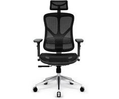 Ergonominė kėdė Diablo V-Basic Normal Ergonomic Chair, Juodos spalvos