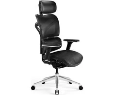 Ergonomiška kėdė Diablo Chairs V-Commander juoda