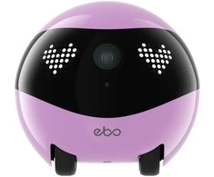 Enabot - EBO AIR 2 - namų, mobilus stebėjimo robotas (rožinė)