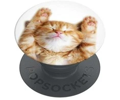Popsockets PopGrip Basic Snoozy Cat