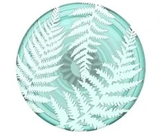 Popsockets PlantCore Grip Fern 806201 laikiklis telefonui
