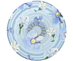 Popsockets PlantCore Grip Mėlyna Fields uchwyt i podstawka do telefonu mėlyna