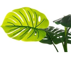 Dirbtinis augalas vazonėlyje 4Living Monstera, 120 cm