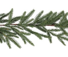 Winteria Pušies girlianda 275 cm