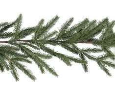 Winteria Pušies girlianda 275 cm