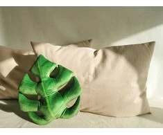 Veliūrinė pagalvėlė, Monstera