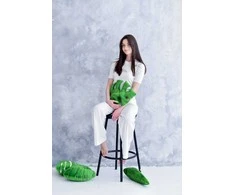 Veliūrinė pagalvėlė, Monstera