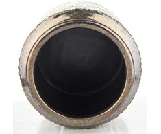 Vaza
