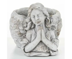 Vazonas