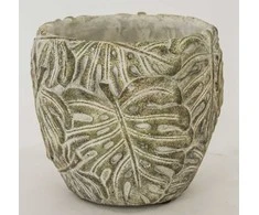 Vazonas