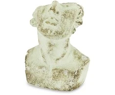 Vazonas