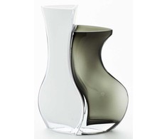 Vaza