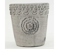 Vazonas