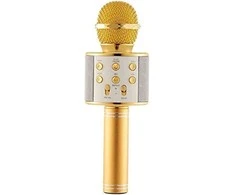 Mikrofonas Royal Song WS-858 auksinis