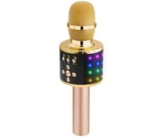 Mikrofonas Royal Song DS-18 LED