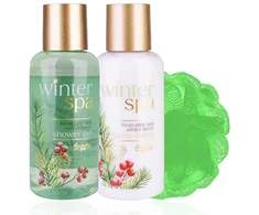 Accentra Gift set in a wire basket Winter Spa
