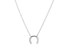 Again Jewelry Vėl papuošalai putojantis Sidabrinis pasagos karoliai AJNA0021