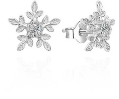 Agato Gražūs sidabriniai auskarai Snowflakes AGT-E013PW