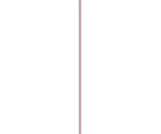 Armani Lip balm Prisma Flash Lūpų balzamas 2.1 g