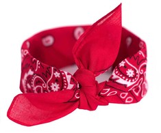 Art Of Polo Bandana Classic Rebel