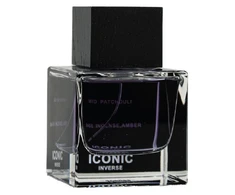 Aurora Scents Iconic Inverse EDP parfumuotas vanduo vyrams, 100 ml